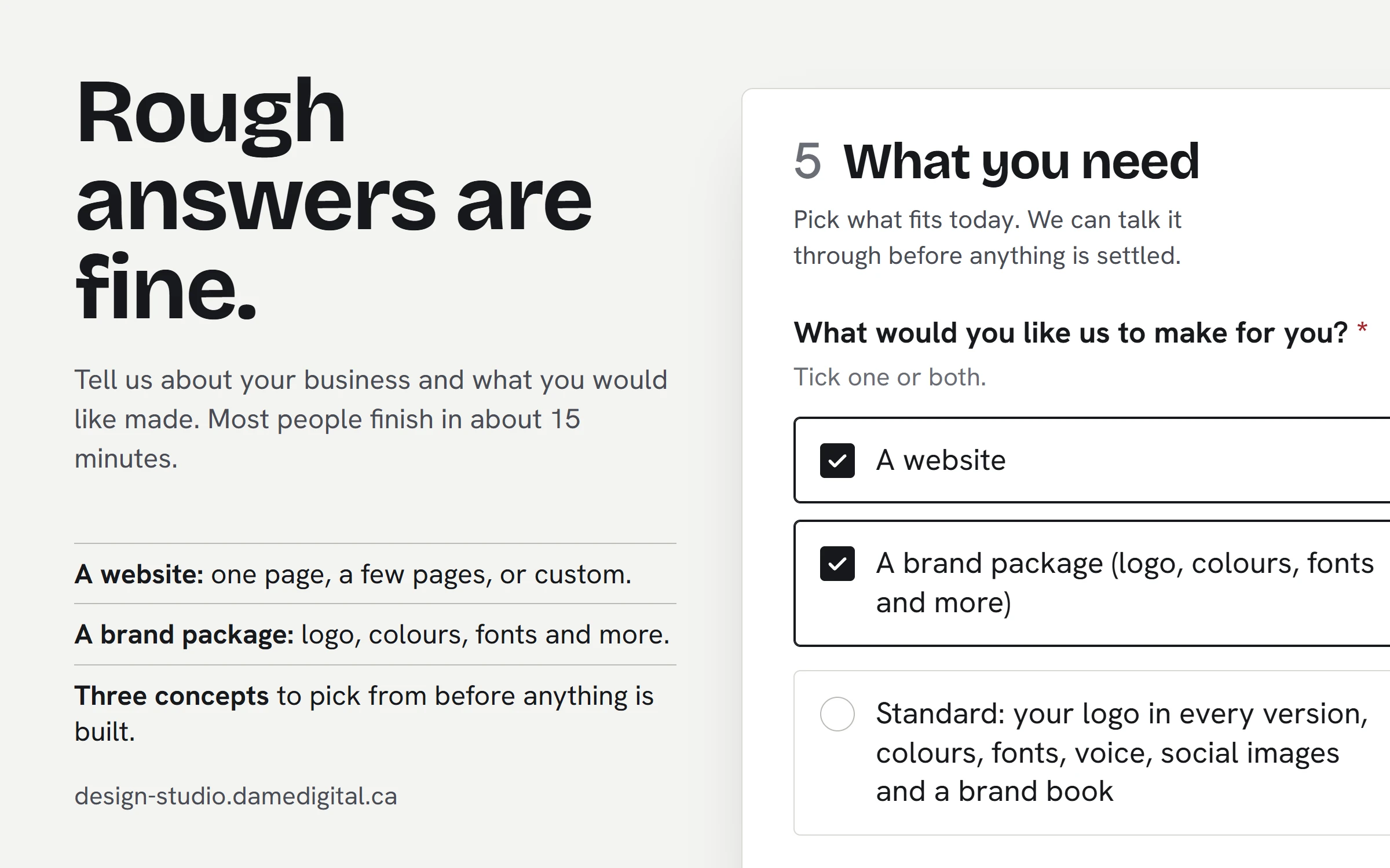 Design Studio ad: Rough answers are fine. Its intake form asks what you would like made: a website, a brand package, or both.